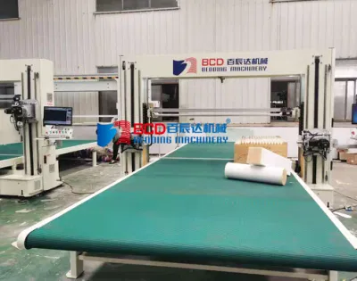  Máquina de corte de contorno de espuma CNC para muebles (BFXQ-2)
