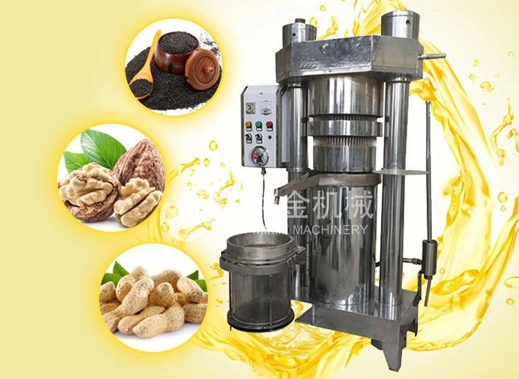 Hydraulic Coconut Avocado Olive Oil Presser Electric Oil Expeller Extraction Machine Making Processing Machines Seed Oil Press Machine for Sale