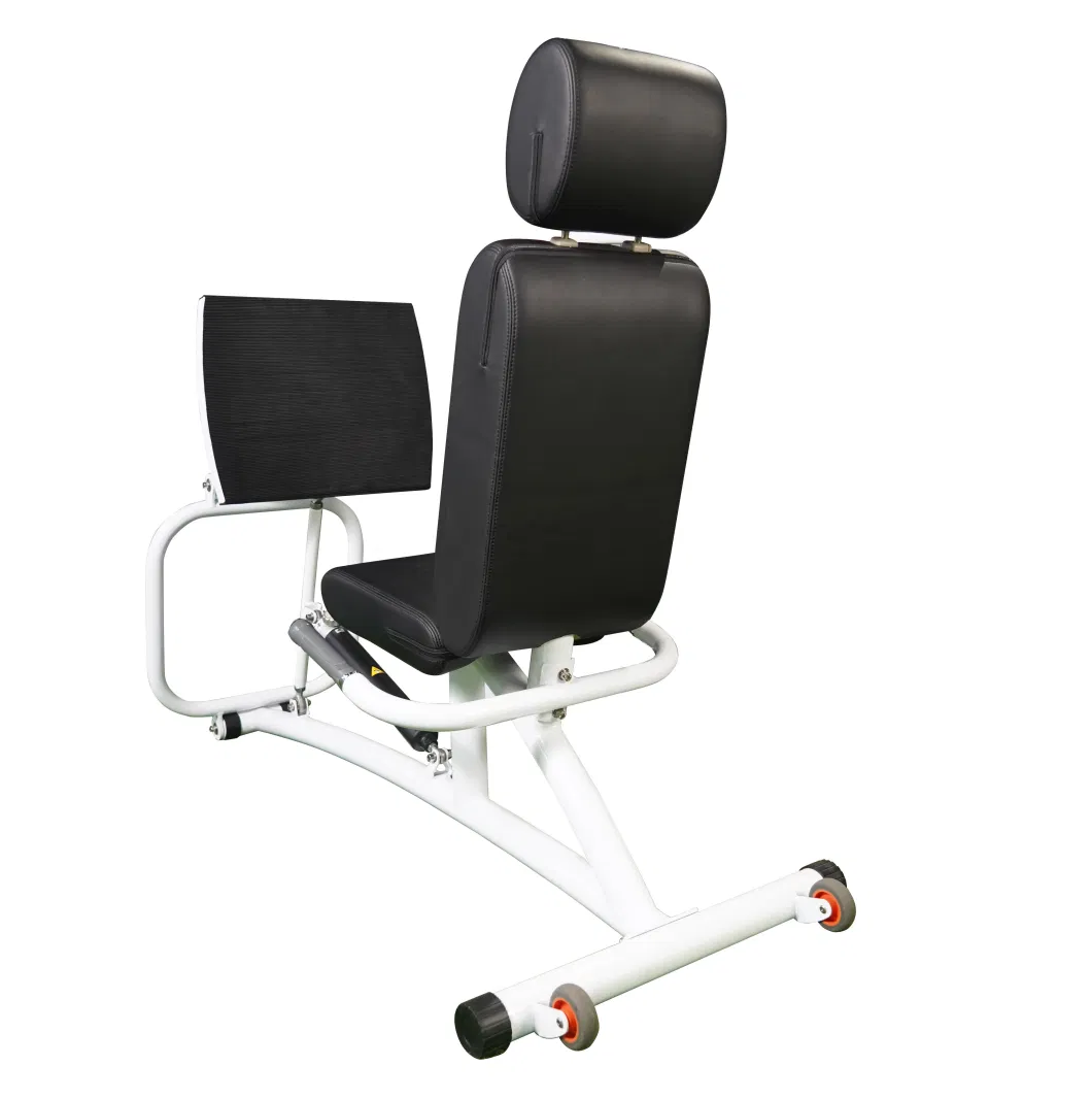 Multi Gym Hydraulic Cylinder Seated Leg Press Equipment for Gym Machine