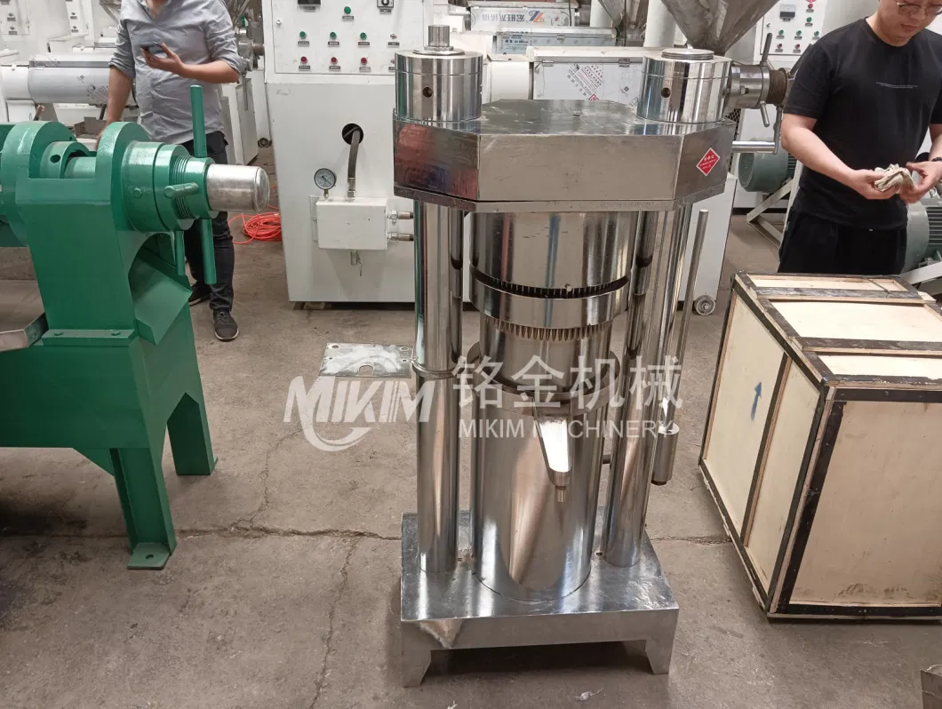 Hydraulic Coconut Avocado Olive Oil Presser Electric Oil Expeller Extraction Machine Making Processing Machines Seed Oil Press Machine for Sale