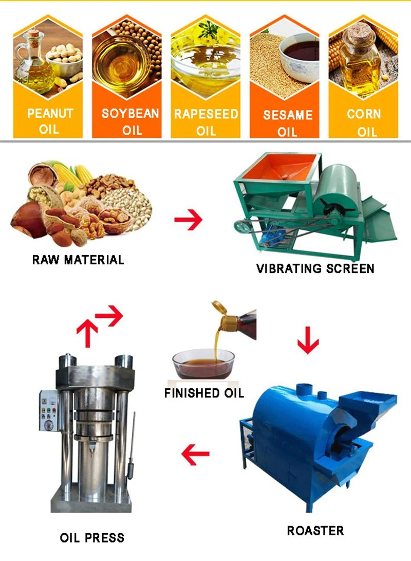 Olive Hydraulic Cold Oil Press for Home Use