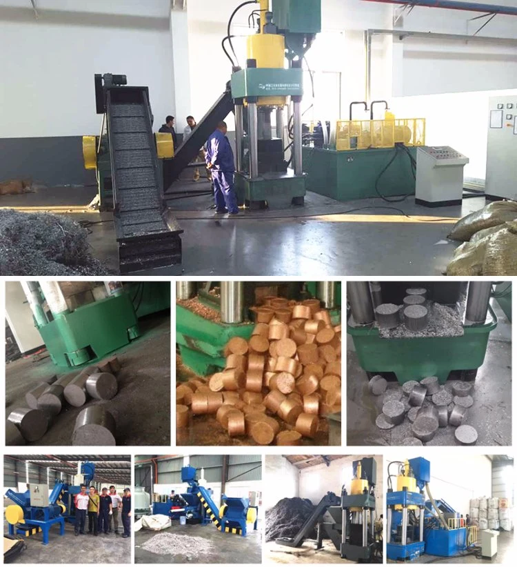 TF 630 Tons Hydraulic Scrap Metal Chips Briquetting Press for Sale