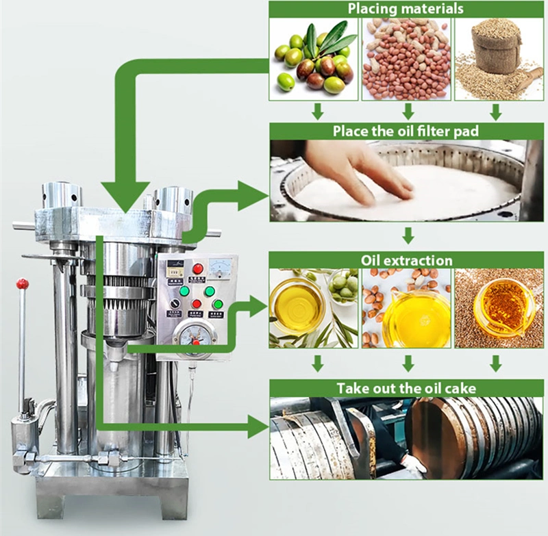 Olive Hydraulic Cold Oil Press for Home Use