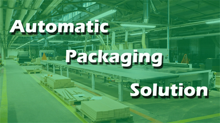 Anypack Food Wrapping Machine Carton Cutting Machine Box Printing Machine Box Slotting Machine Box Slitting Machine Box Creasing Machine Manufacturer China