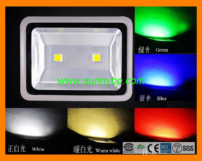 24V/60W LED Flood Light with RGB Color Changing