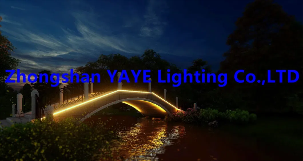 Yaye Solar Factory Supplier 50W 5m High Quality Outdoor Waterproof IP65 Single Color LED Strip Garden Christmas Holiday Landscape Decorative Light Manufacturer