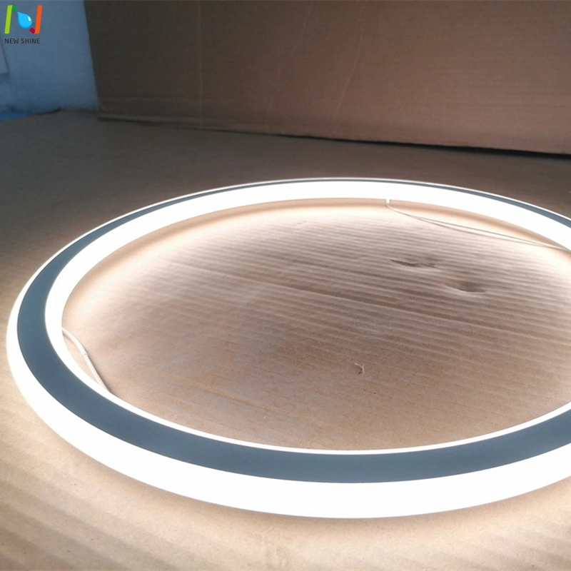 Pendant Decorative Light Round Ceiling Lamp for Indoor