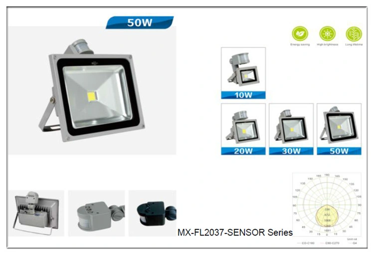 Modern Lamp Garden Bridge Flood Lights Focus High Power LED Spotlight and Spot Building House Floodlight