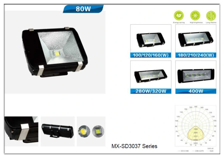 Modern Lamp Garden Bridge Flood Lights Focus High Power LED Spotlight and Spot Building House Floodlight