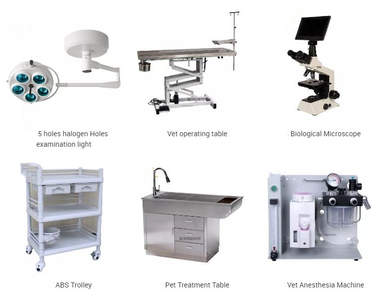 Vet Clinic Surgical Equipment Ultrasonic Scalpel System Medical Equipment Veterinary Instrument