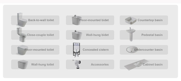 Back to Wall Ceramic Wc Toilet Bidet