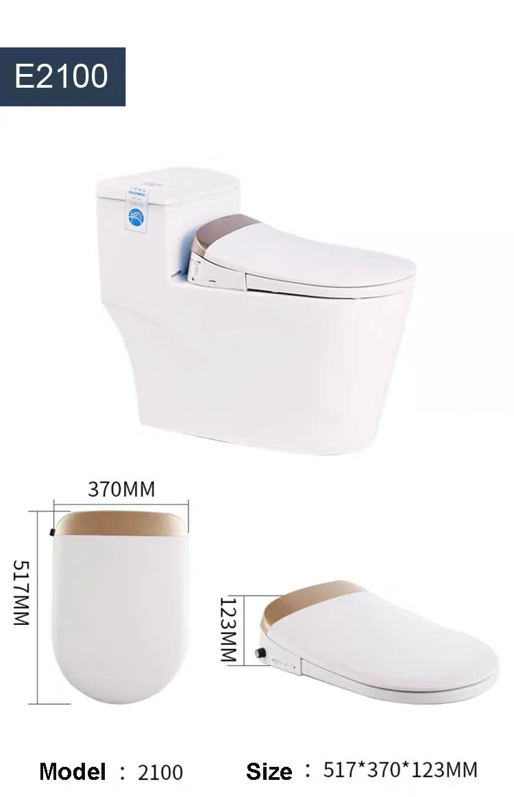 Intelligent Smart with Remote Control Electric Toilet Seat