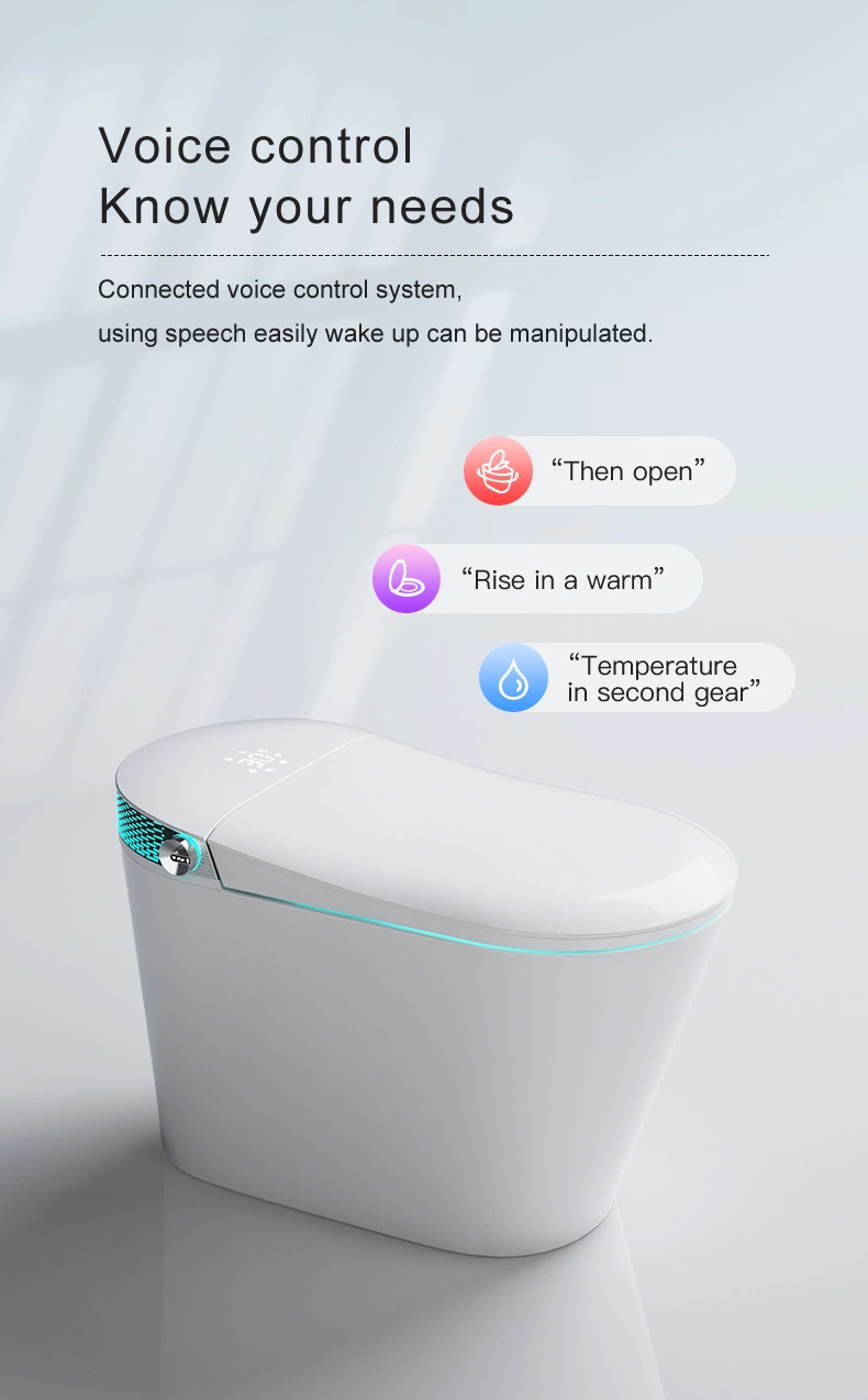 European Style Wc Smart Intelligent Toilet with Remote Control