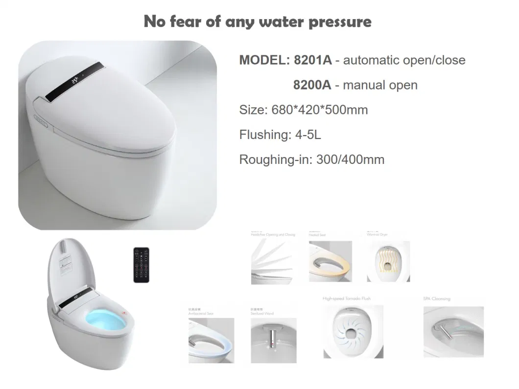 Dual Flush Heated Bidet Toilet Seat