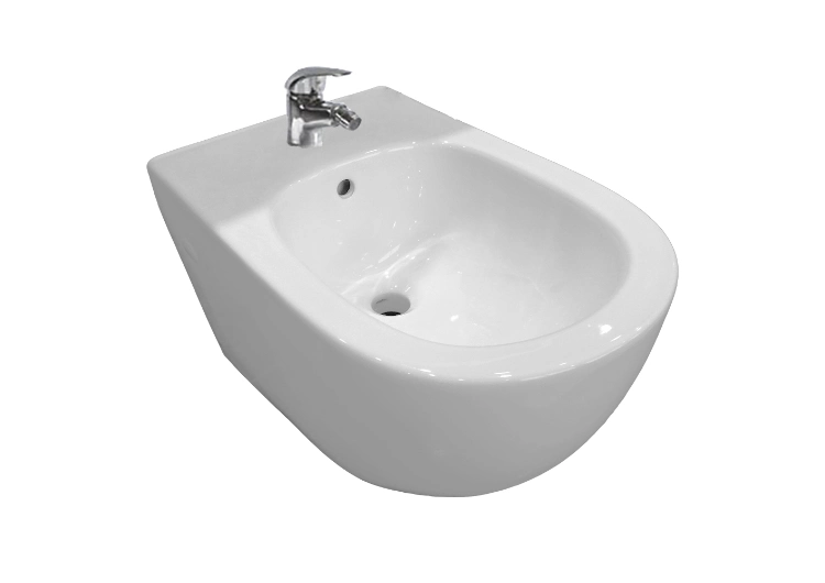 Back to Wall Ceramic Wc Toilet Bidet