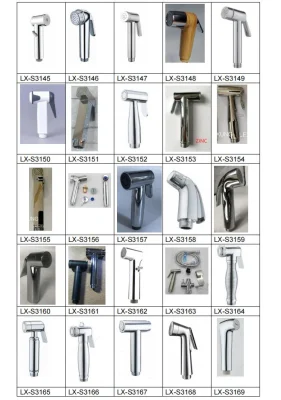 Acero inoxidable SS304 Smart Hand Shower Shattaf toilet Hand Spray Bidé