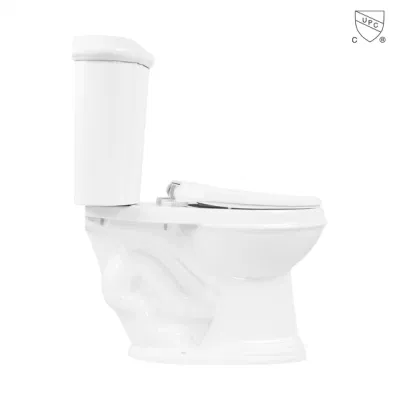 Cupc certificó el diseño moderno cuarto de baño muebles Floor-Standing de porcelana con una fácil instalación el cuarto de baño Sanitarios soporte