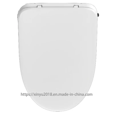 Smart Women-Care Self-Cleaning Electric Calefacción bidet WC asiento Sprayer Adjunto