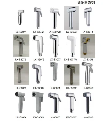 Acero inoxidable SS304 Smart Hand Shower Shattaf toilet Hand Spray Bidé