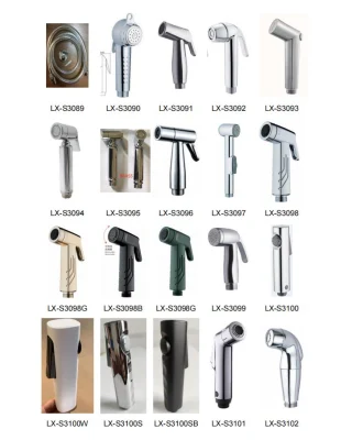 Acero inoxidable SS304 Smart Hand Shower Shattaf toilet Hand Spray Bidé