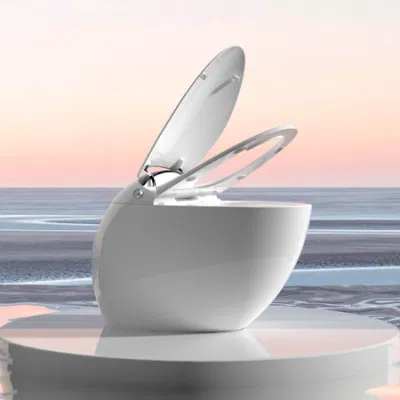  2023 Luxury Ceramic Sanitary Ware Baño Smart WC Ceramic Siphon Inodoro inteligente montado en el suelo