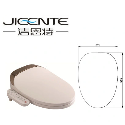 Side Panel Bidet Toilet Seat with Dryer