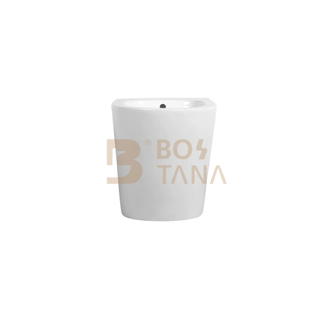 General Back to Wall Bidet Ceramic Hot Selling Toilet Bidet