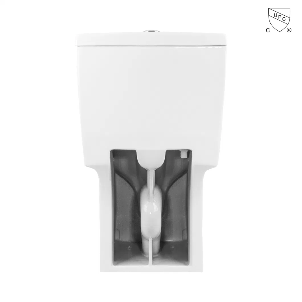 Cupc American Standard Toilet Bathroom Ceramic One-Piece Toilet Elongated Toilet with Soft-Close Toilet Seat