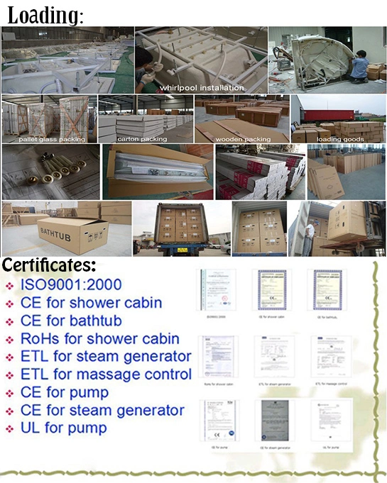 High Tray Modular Touch Screen Hydro Massage ABS Steam Shower Room (TL-8816)