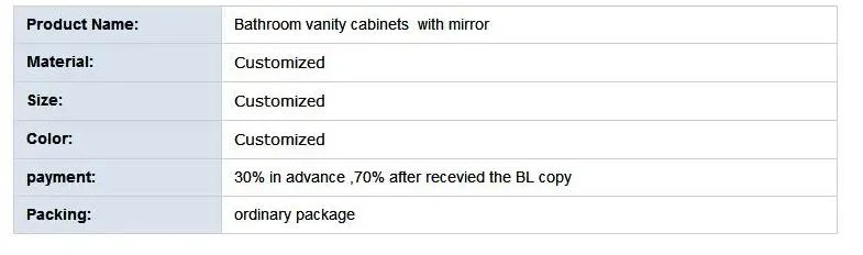 Bathroom Vanity Cabinet with Mirror and Basin Mounted on The Wall