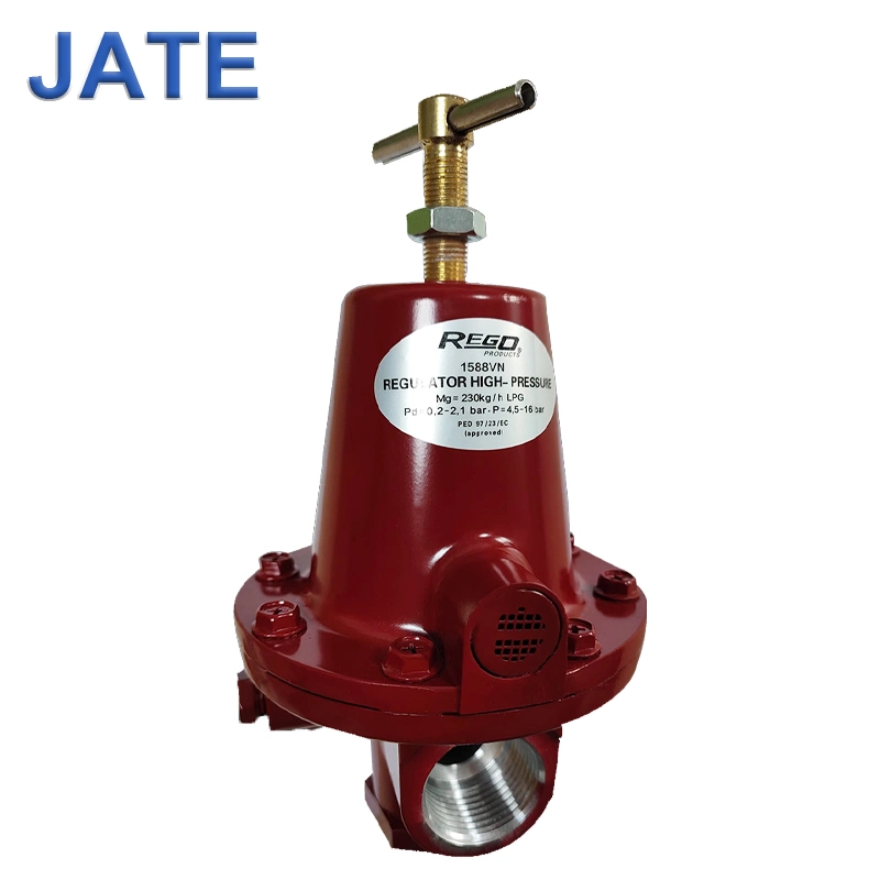 Watts Giuliani or St1b80 (DN80) Anello Gas Pressure Regulators Governor Valve for Industrial Gas Burner