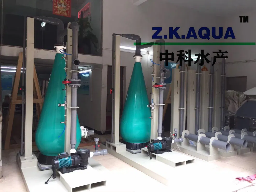 Oxygen Cones for Recirculating Aquaculture Systems Ras Indoor Fish Farm Aerator Aquaculture Equipment