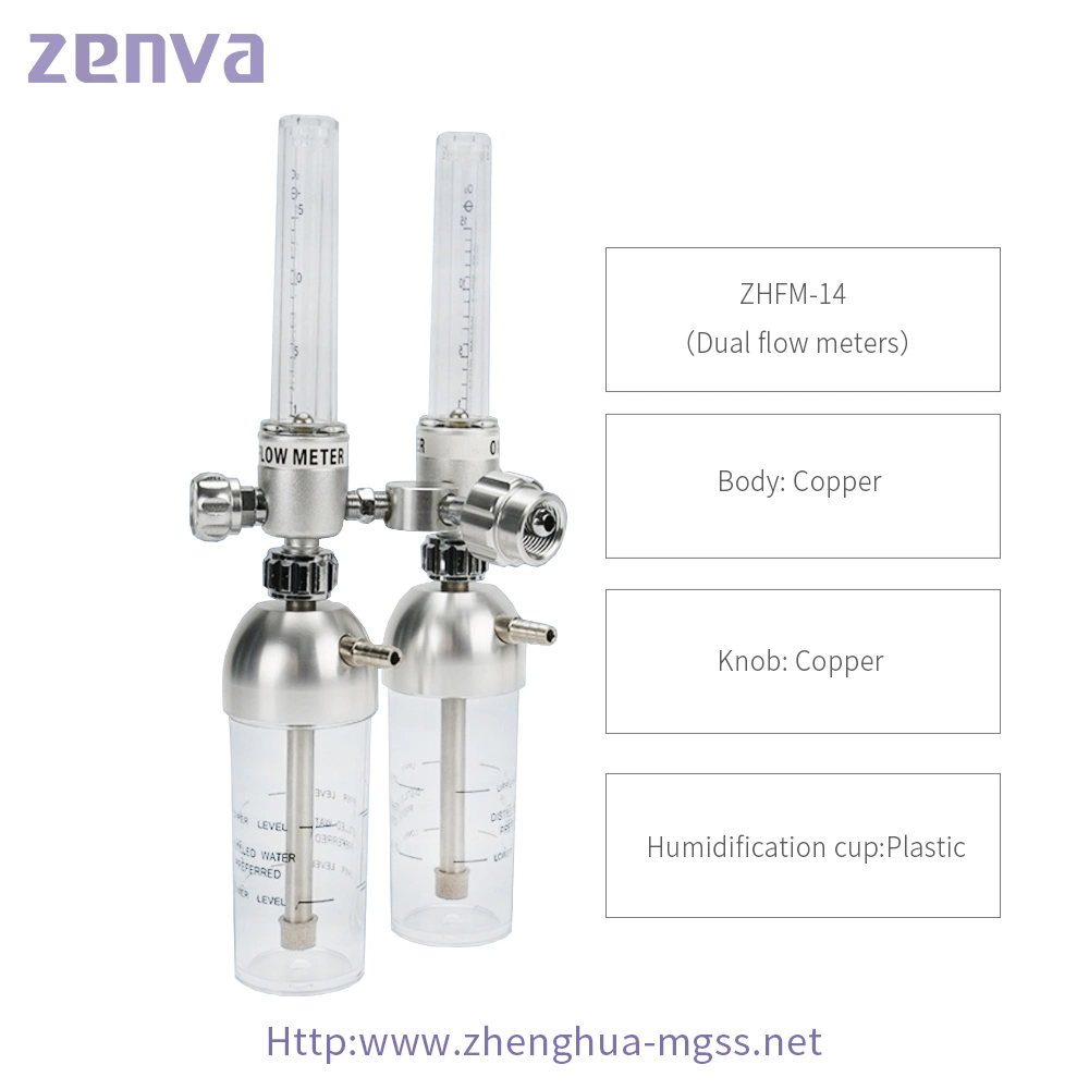 Gas System Dual Medical Gas Flowmeter with Humidifier Bottle for Gas Outlet Double Oxygen Flowmeter