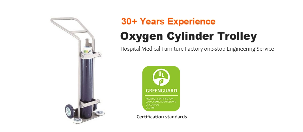 Hospital Medical Furniture Factory Custom Stainless Steel D Type Size 10 Litre Oxygen Cylinder Trolley