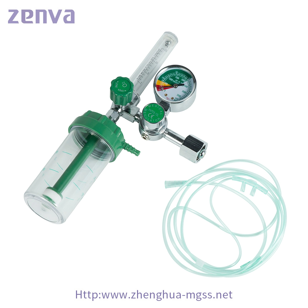 BS Cga870/ Cga540 Medical Gas Filling System Medical Oxygen Regulator with Humidifier