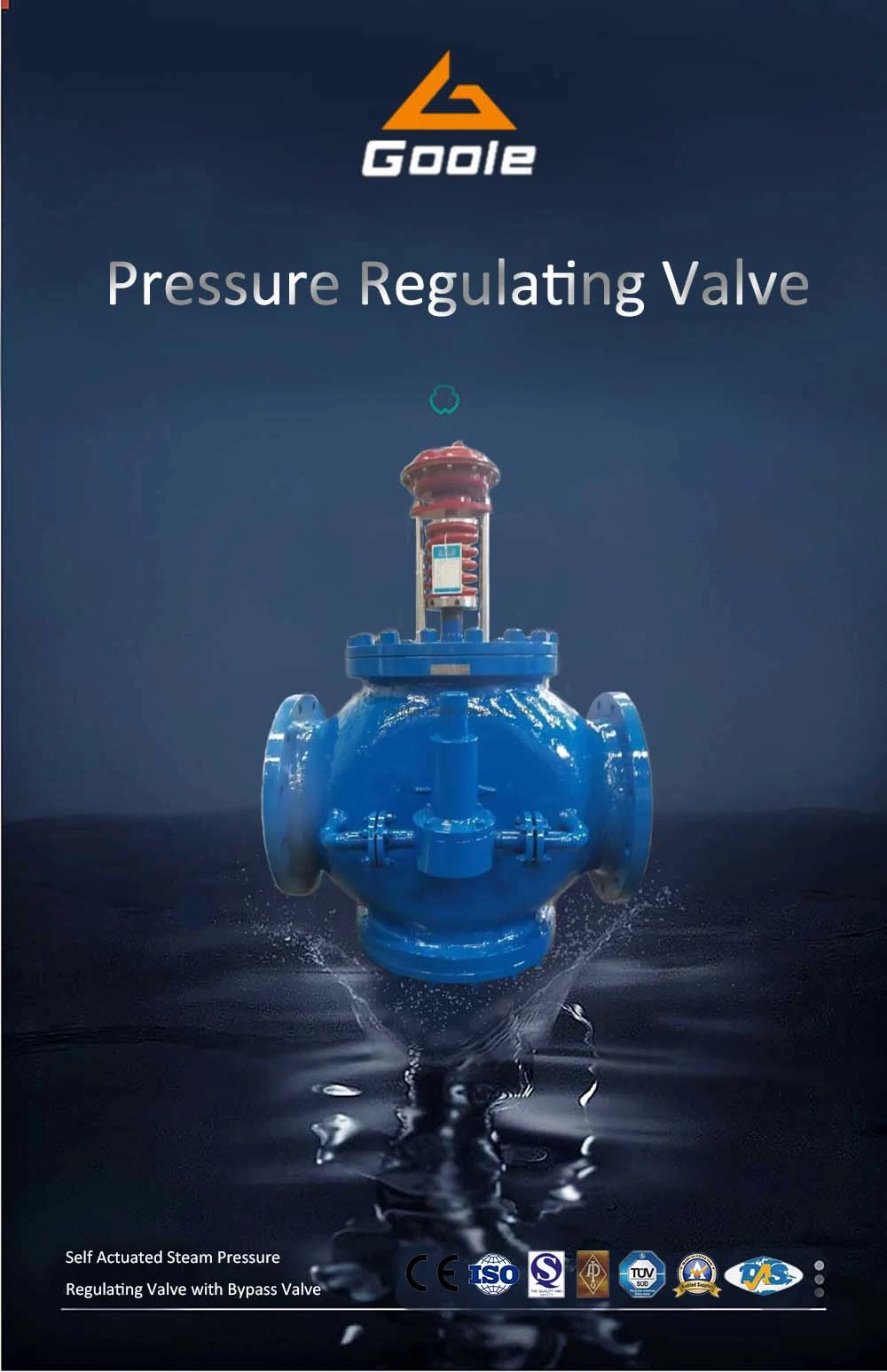 Self Actuated Steam Pressure Control Valve/Pressure Regulator/with Bypass Valve