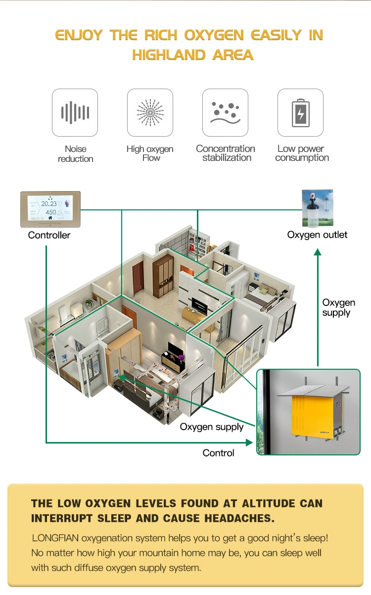 10L Oxygen Generator for Plateau People Increasing Oxygen Saturation