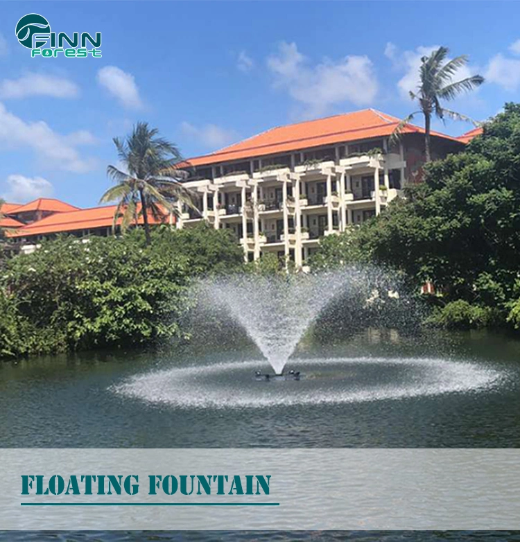 Custom Colorful Outdoor Modern Programmed Large Water Dancing Floating Garden Fountain