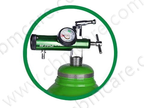 Mini Oxygen Regulator (Mini-size Pin Index)