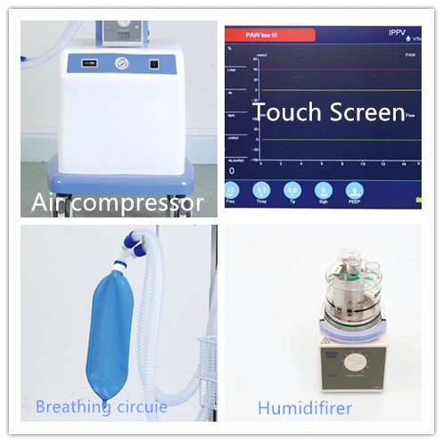 Assisted Breathing Machineventilator Modes