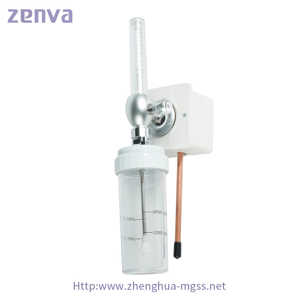 Types Oxygen Flow Meter with Humidifier Bottle or Hospital