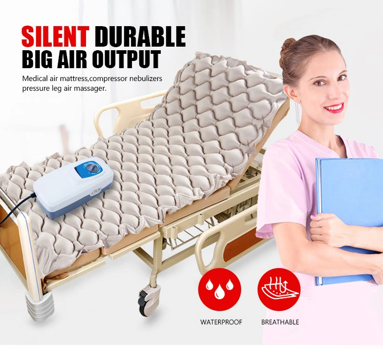 Anti Bedsore Decubitus Air Mattress APP Pad Wit Pump