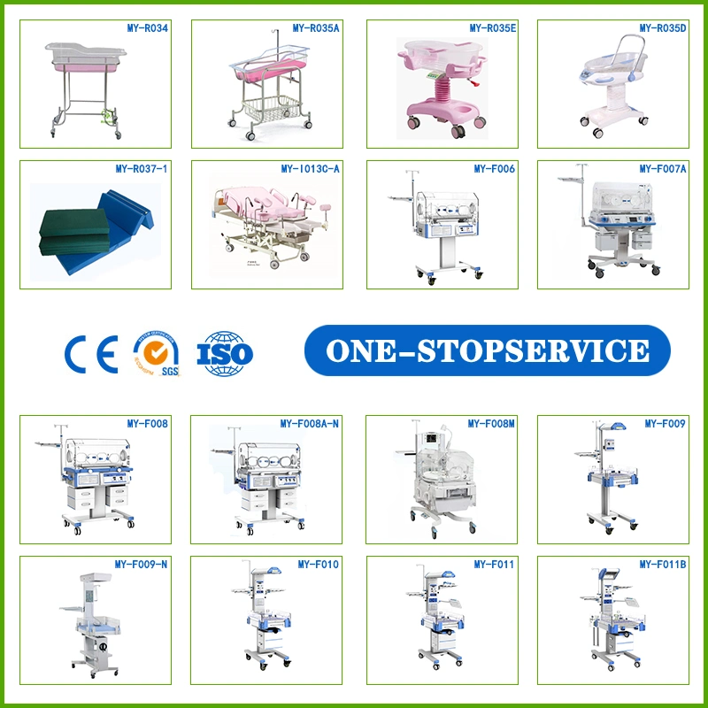 Obstetric Gynecology Medical Equipment/Infant Incubator/Electronic Digital Colposcope/Neonatal Oxygen Hoods/Baby Phototherapy/Cryosurgery/Baby Trolley Bed