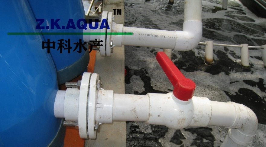 Oxygen Cones for Recirculating Aquaculture Systems Ras Indoor Fish Farm Aerator Aquaculture Equipment