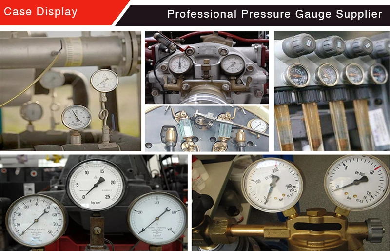 30mm Ss Socket High Purity Gas Regulator Gauge