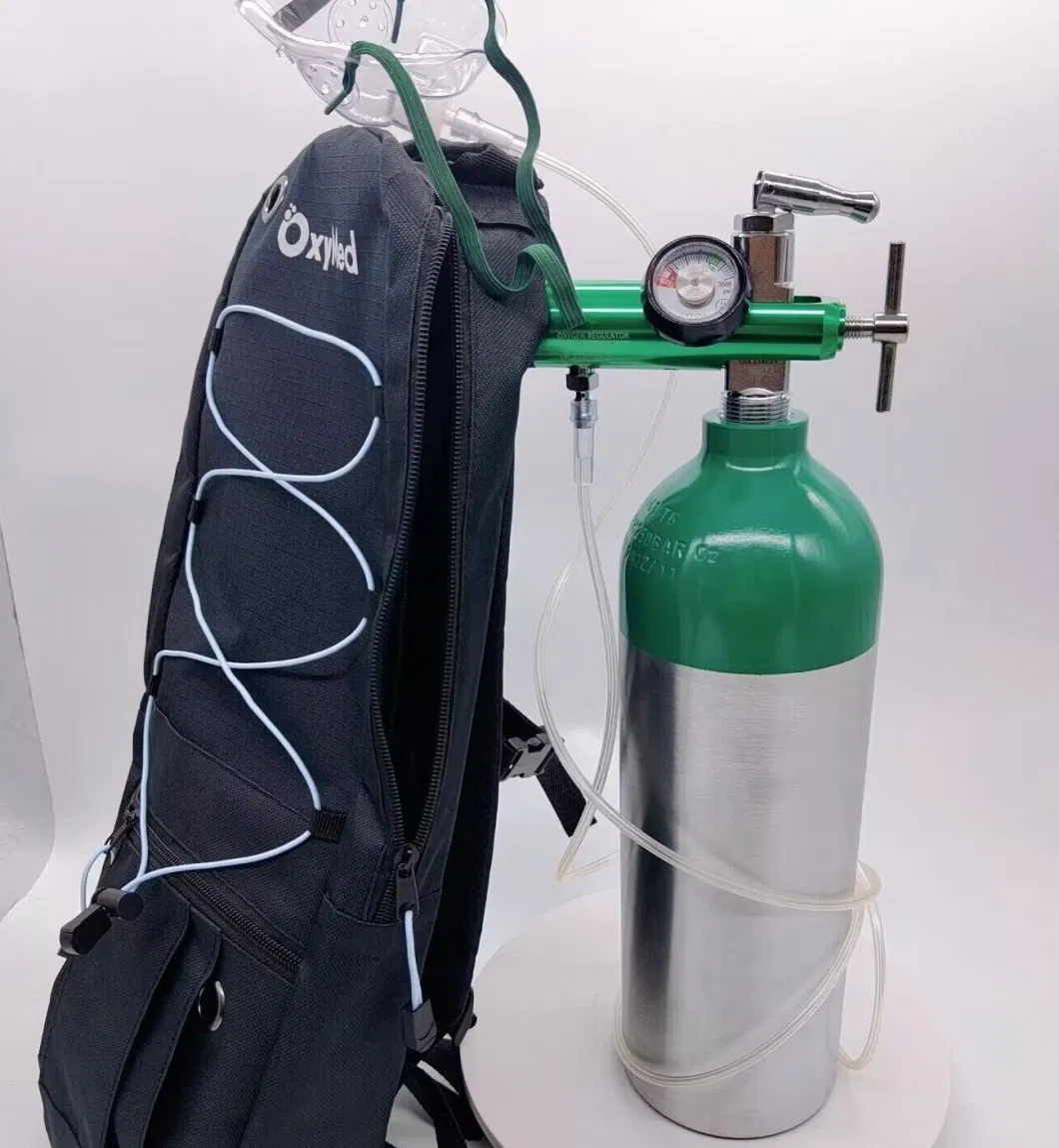 Medical Use Oxygen Gas Cylinder Regulator Barb 15L Air Pressure Regulator with Cga870 Connector