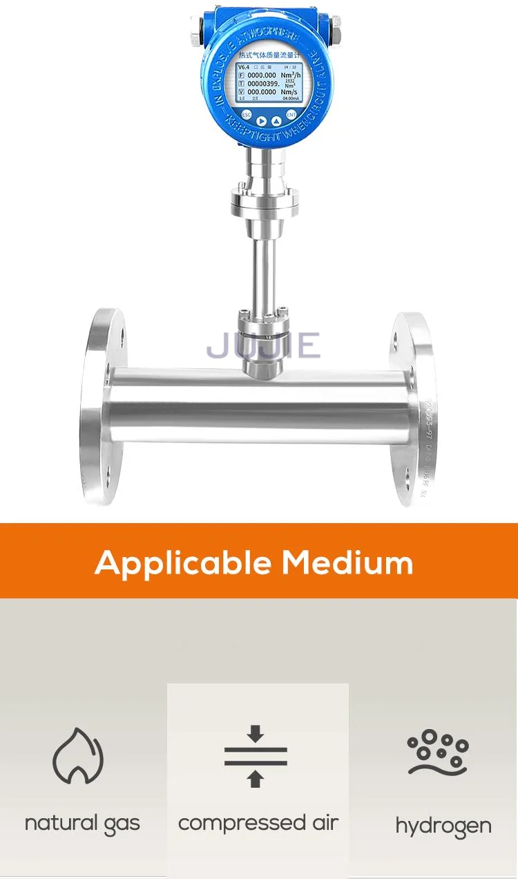 Gas Flow Meter for Natural Gas Hydrogen Oxygen Nitrogen Compressed