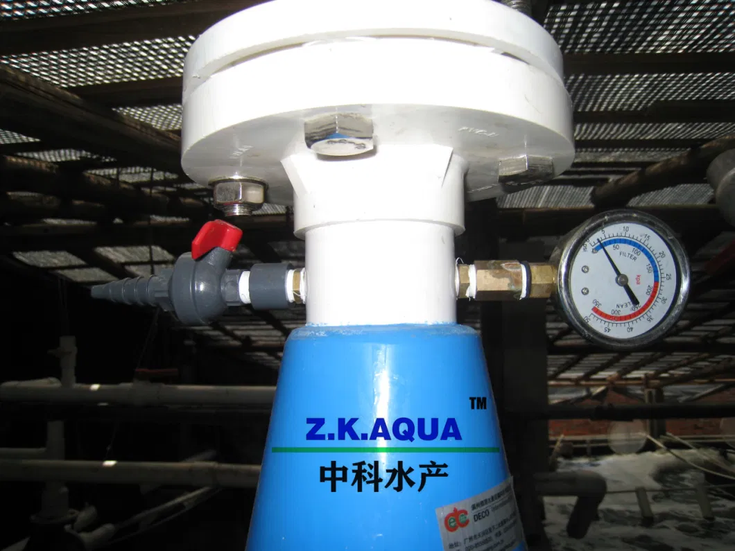 Oxygen Cones for Recirculating Aquaculture Systems Ras Indoor Fish Farm Aerator Aquaculture Equipment