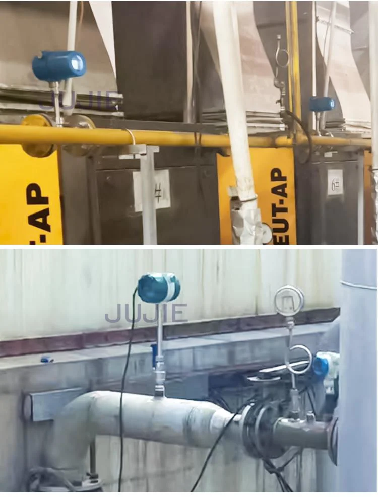 Gas Flow Meter for Natural Gas Hydrogen Oxygen Nitrogen Compressed