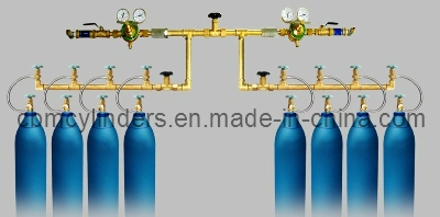 Medical Oxygen Flow-Meters (Wall Faxed, Double-type)